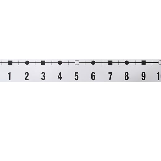 hand2mind -39 to 185 Integer Number Line for Classroom Wall, Math Borders Classroom Bulletin, Number Lines for Students, Teacher Supplies, Number Line with Negative Numbers, Math Posters (18 Sections)