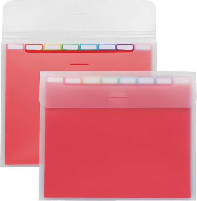 Oxford Portable File Organizer, 8 Plastic File Folders, Clear Case, Storage for Home and Office, Document Organizer, Holds 8-Tab Poly Project Folders, Letter Size, Assorted Colors, 2 Pack (52022)