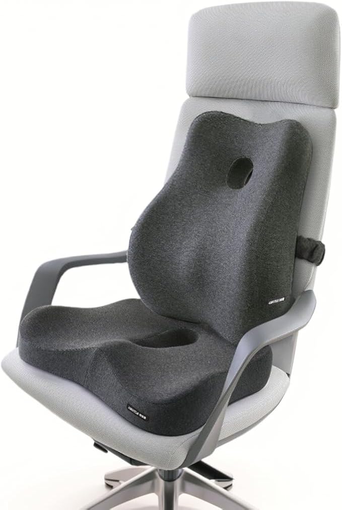 Seat Cushion and Lumbar Support Pillow Set, Sciatica Relieving Coccyx Cushion,hemorrhoid Cushion,Chair Back Support,Ergonomic Cushion&Pillow,Office Chair Cushions for Back and Butt(Dark Grey)