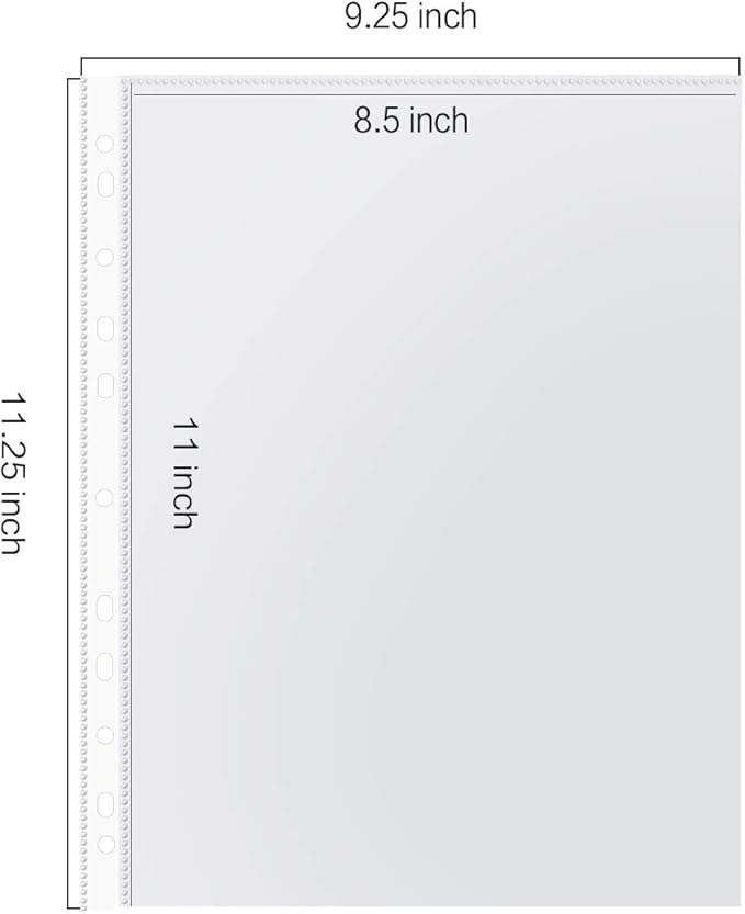 Sheet Protectors, PANDRI 500 Pack Clear Heavy Duty Plastic Page Protectors Sheet Reinforced 11-Hole Fit for 3 Ring Binder Fits Standard 8.5 x 11 Paper, 9.25 x 11.25 Top Loaded, Excluding Acid