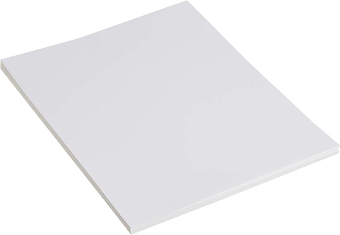 Canon 2768B022 Photo Paper Pro Platinum, 8.5 x 11 Inches, 20 Sheets (Pack of 2)