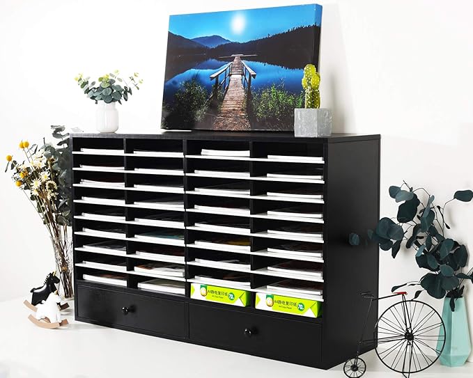 PAG Mail Sorter Organizer, Wood Literature Organizer, Student Mailbox for Classroom, Desktop Bill Paper Organizer for Office Home School, 38 Compartments, Black&White