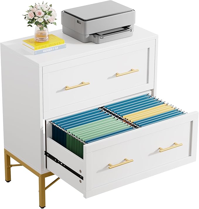 Tribesigns Modern White 2 Drawer File Cabinet, Lateral Filing Cabinet for Letter/Legal/A4 Size, Wood File Storage Cabinets Printer Stand with Storage for Home, Office, White and Gold