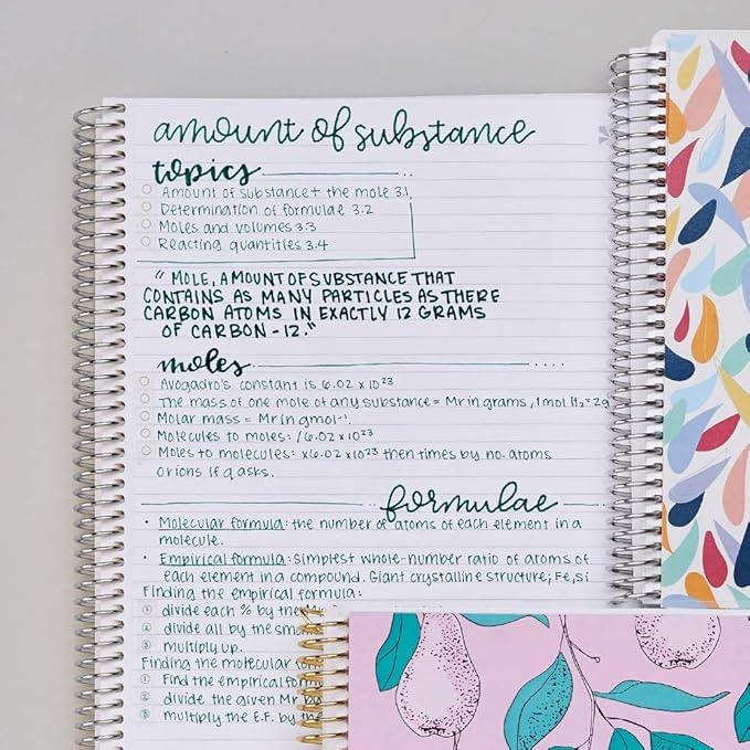 Erin Condren 8.5" X 11" Spiral Bound Productivity Notebook, Layers Colorful, Functional 160 Lined Page and 80Lb Thick Paper Spiral Notebook, Stickers Included