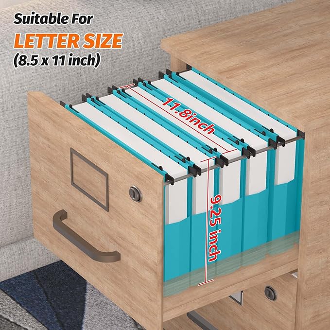 Extra Capacity Plastic Hanging File Folders,12 Pack Reinforced Expanding Hang Folder Letter Size,Accordian Pocket,Heavy Duty 2 Inch Expansion, Hard Hanging Folder Organizer for Office Home,Blue
