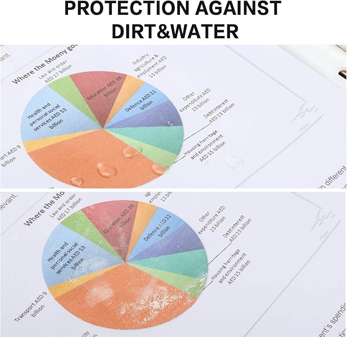 Sheet Protectors, PANDRI 500 Pack Clear Heavy Duty Plastic Page Protectors Sheet Reinforced 11-Hole Fit for 3 Ring Binder Fits Standard 8.5 x 11 Paper, 9.25 x 11.25 Top Loaded, Excluding Acid
