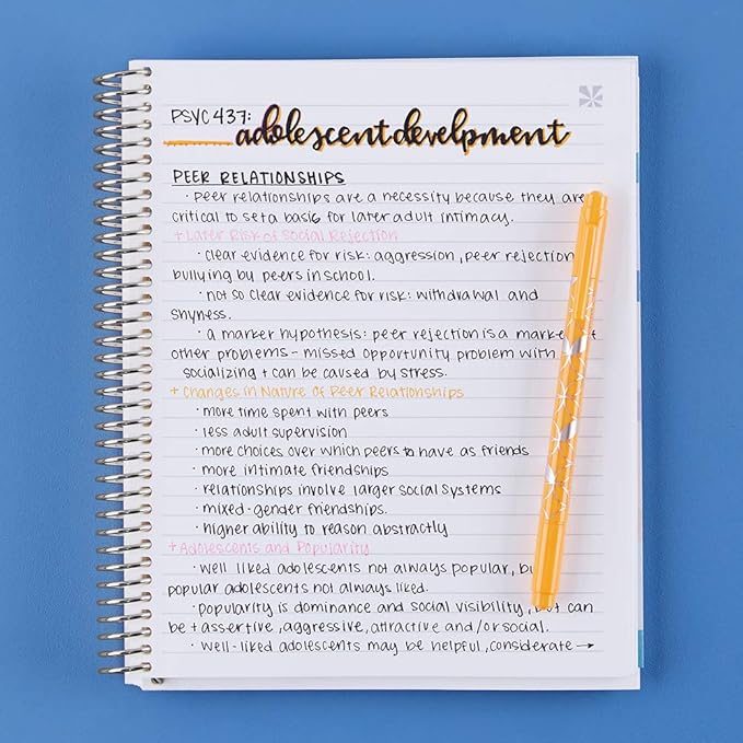 Erin Condren 8.5" X 11" Spiral Bound Productivity Notebook, Layers Neutral, Functional 160 Lined Page and 80Lb Thick Paper Spiral Notebook, Stickers Included