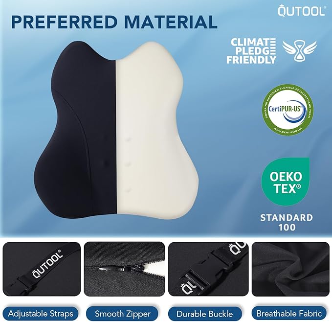 QUTOOL Lumbar Support Pillow for Car, Truck Accessories Travel Essentials, Memory Foam Back Cushion for Driving Seat, Back Pain Relief,Washable Cover, Lower Back Support Fits Most Cars(Black)