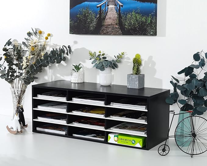 PAG Mail Sorter, Wood Countertop Literature Organizer, Student Mailbox for Classroom, Desktop Bill Paper Organizer for Office Home School, 12 Compartments, Black & White