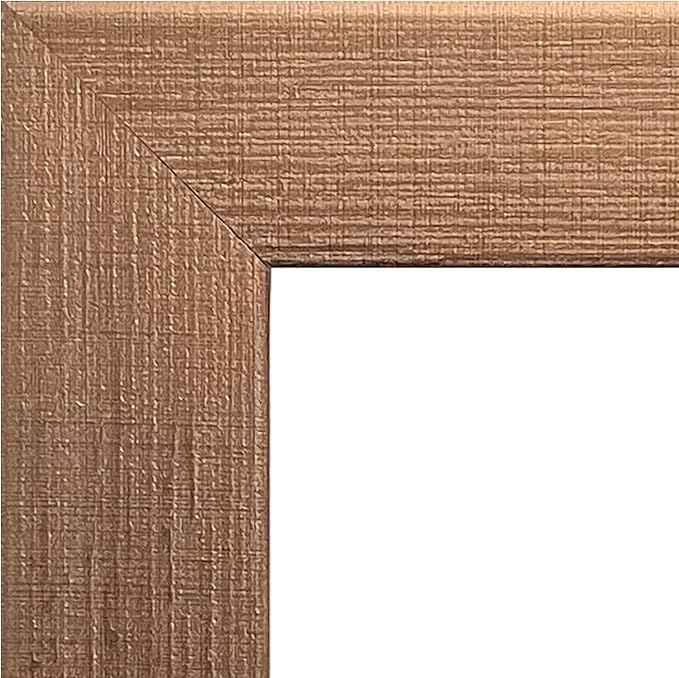 Trends International Zebra Stripe Optical Illusion Wall Poster, 22.375" x 34", Bronze Framed Version