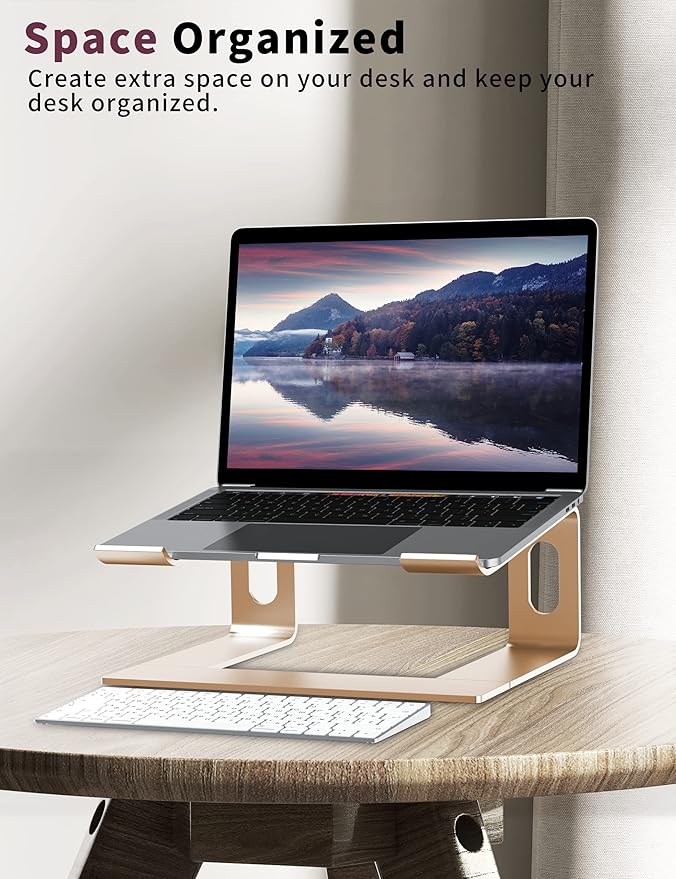 ALASHI Laptop Stand for Desk, Aluminum Computer Riser, Ergonomic Notebook Holder, Detachable Metal Laptops Elevator, PC Cooling Mount Support 10 to 15.6 Inches Notebook, Gold