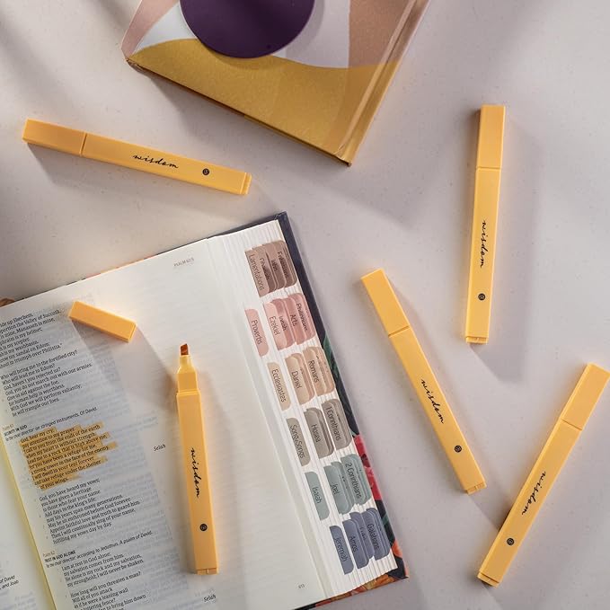 DIVERSEBEE Bible Highlighters with Soft Chisel Tip, 5 Pack Single Color Pens No Bleed, Quick Dry, Cute Aesthetic Markers for Bible Study Journaling Supplies (Yellow)