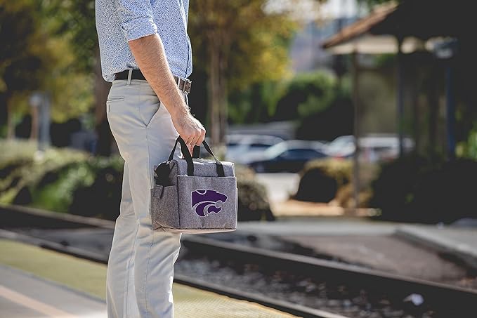 PICNIC TIME NCAA unisex-adult NCAA On The Go Lunch Cooler