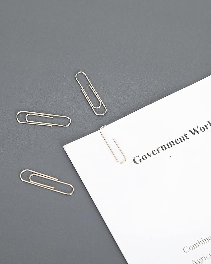 PAPERPAL Paperclips for Office School & Personal Use, #1 Nonskid Paper Clip (1-2/7"), 600 Medium Paper Clips (6 Boxes of 100 Each), Silver