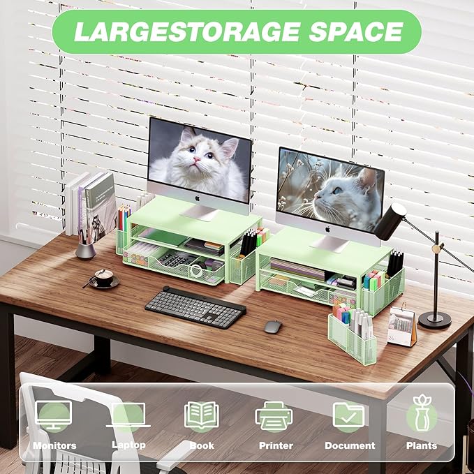 OPNICE Desk Organizers and Accessories, 2-Tier Computer Monitor Stand Riser with Drawer and 2 Pen Holders, Laptop Stand, Office Desk Accessories for Office Supplies, Green