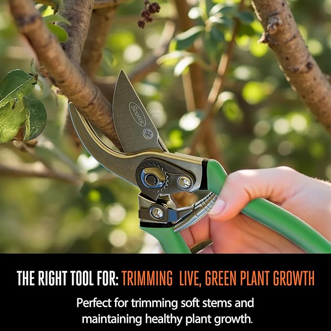 Scotts 8 in. Bypass Pruning Shears – 1/2 in. Cutting Capacity; Gardening Hand Pruner with Sharp Carbon Steel Blade and Non-Slip Grip – Lightweight Garden Tool for Live Plants and Soft Stems