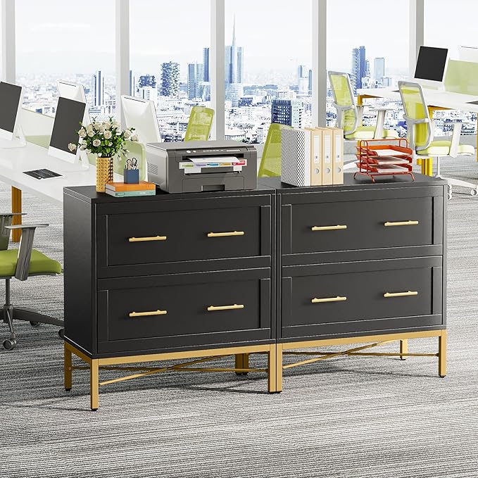 Tribesigns 2 Drawer File Cabinet, Modern Wood Lateral Filing Cabinet for Letter/Legal/A4 Size, Large File Storage Cabinets Printer Stand with Storage for Home Office, Black and Gold