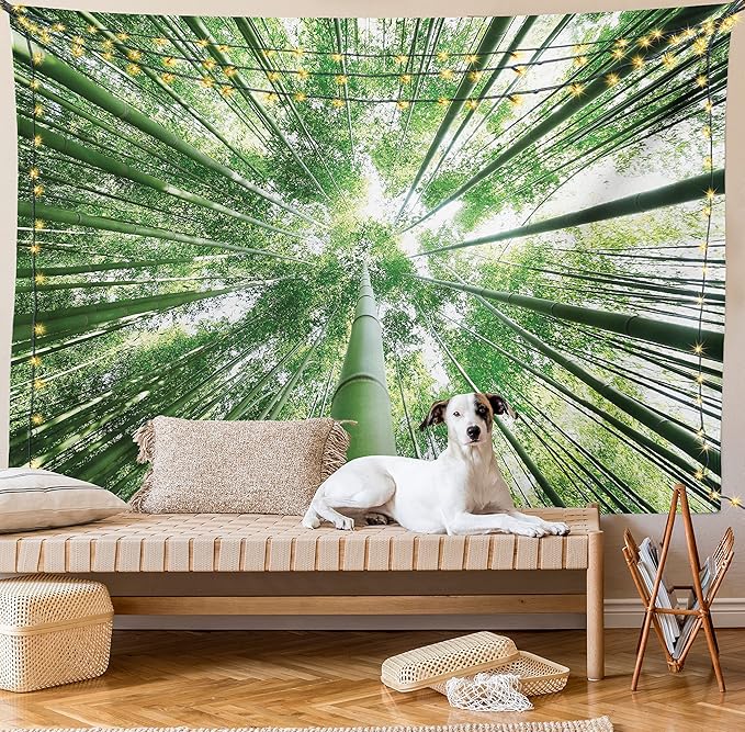 Ambesonne Forest Tapestry King Size, Tropical Rain Forest Tall Trees in Exotic Style Nature Theme Image Sky from Woodland, Wall Hanging Bedspread Bed Cover Wall Decor, 30" X 45", Green